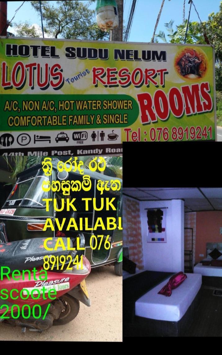 Lotus Inn Tourist Resort Dambulla Zewnętrze zdjęcie