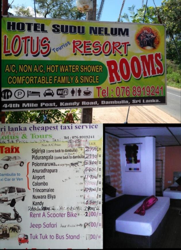 Lotus Inn Tourist Resort Dambulla Zewnętrze zdjęcie