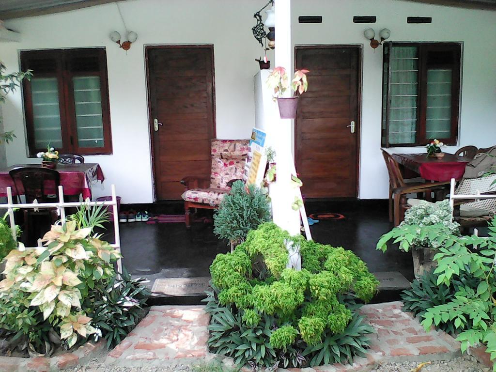 Lotus Inn Tourist Resort Dambulla Zewnętrze zdjęcie