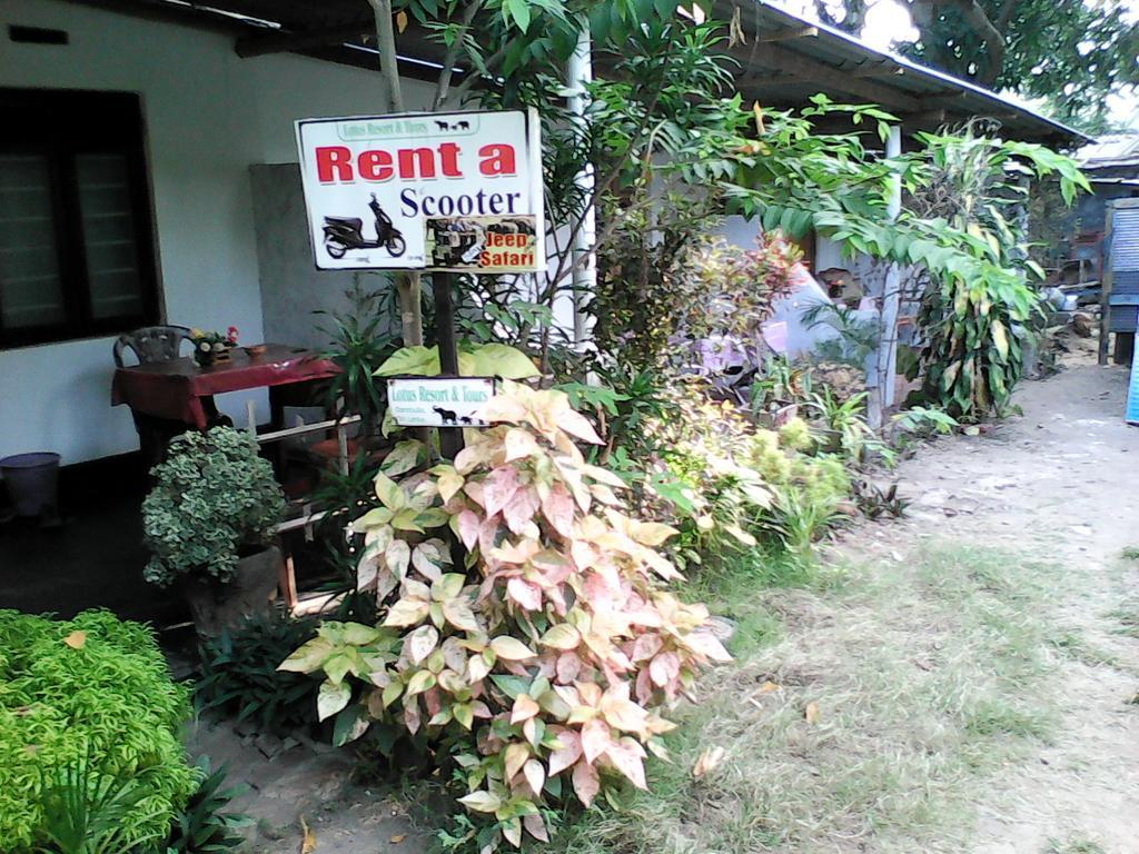 Lotus Inn Tourist Resort Dambulla Zewnętrze zdjęcie