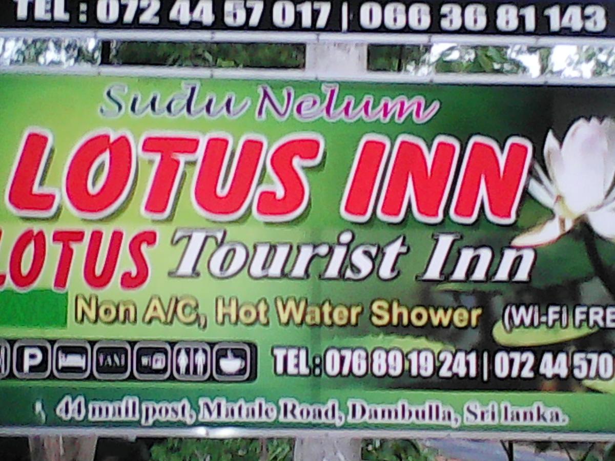 Lotus Inn Tourist Resort Dambulla Zewnętrze zdjęcie