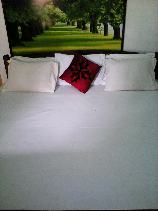 Lotus Inn Tourist Resort Dambulla Zewnętrze zdjęcie