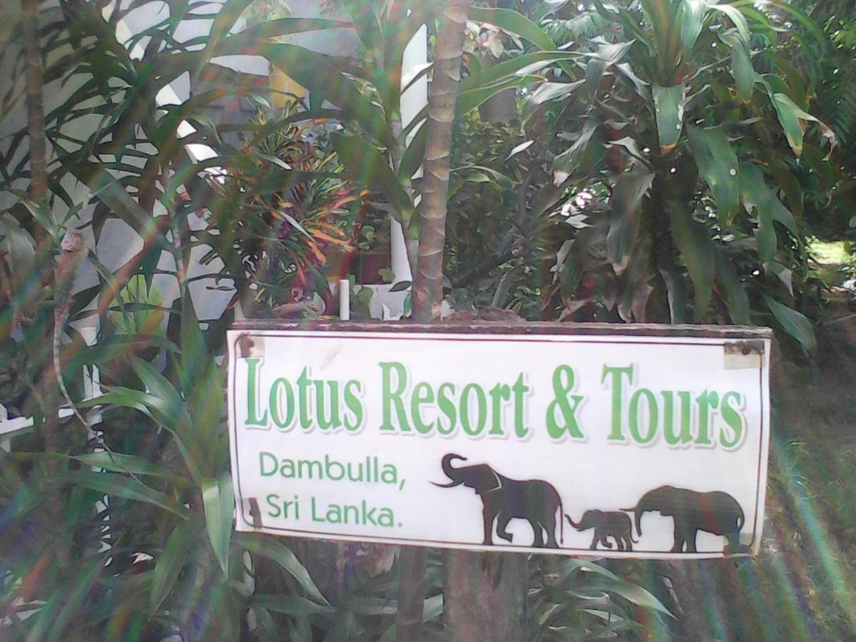 Lotus Inn Tourist Resort Dambulla Zewnętrze zdjęcie