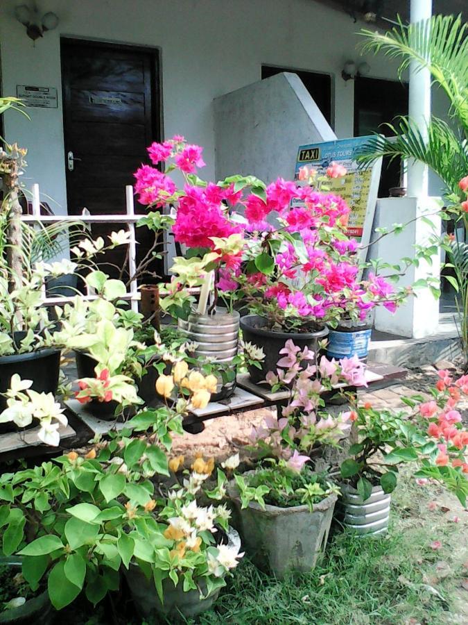 Lotus Inn Tourist Resort Dambulla Zewnętrze zdjęcie