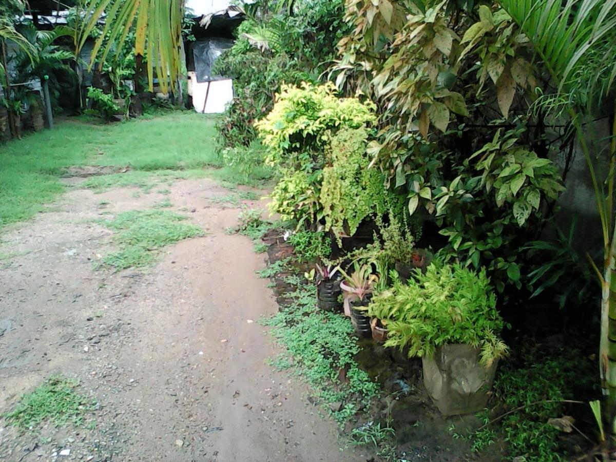 Lotus Inn Tourist Resort Dambulla Zewnętrze zdjęcie